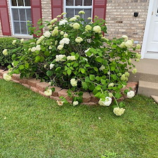 Landscaping-Block-and-Concrete-Cleaning-on-Sidewalks-in-Algonquin-IL 1